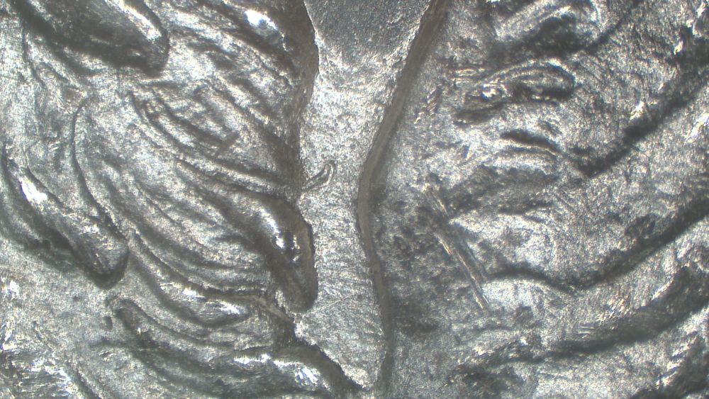 Image 24