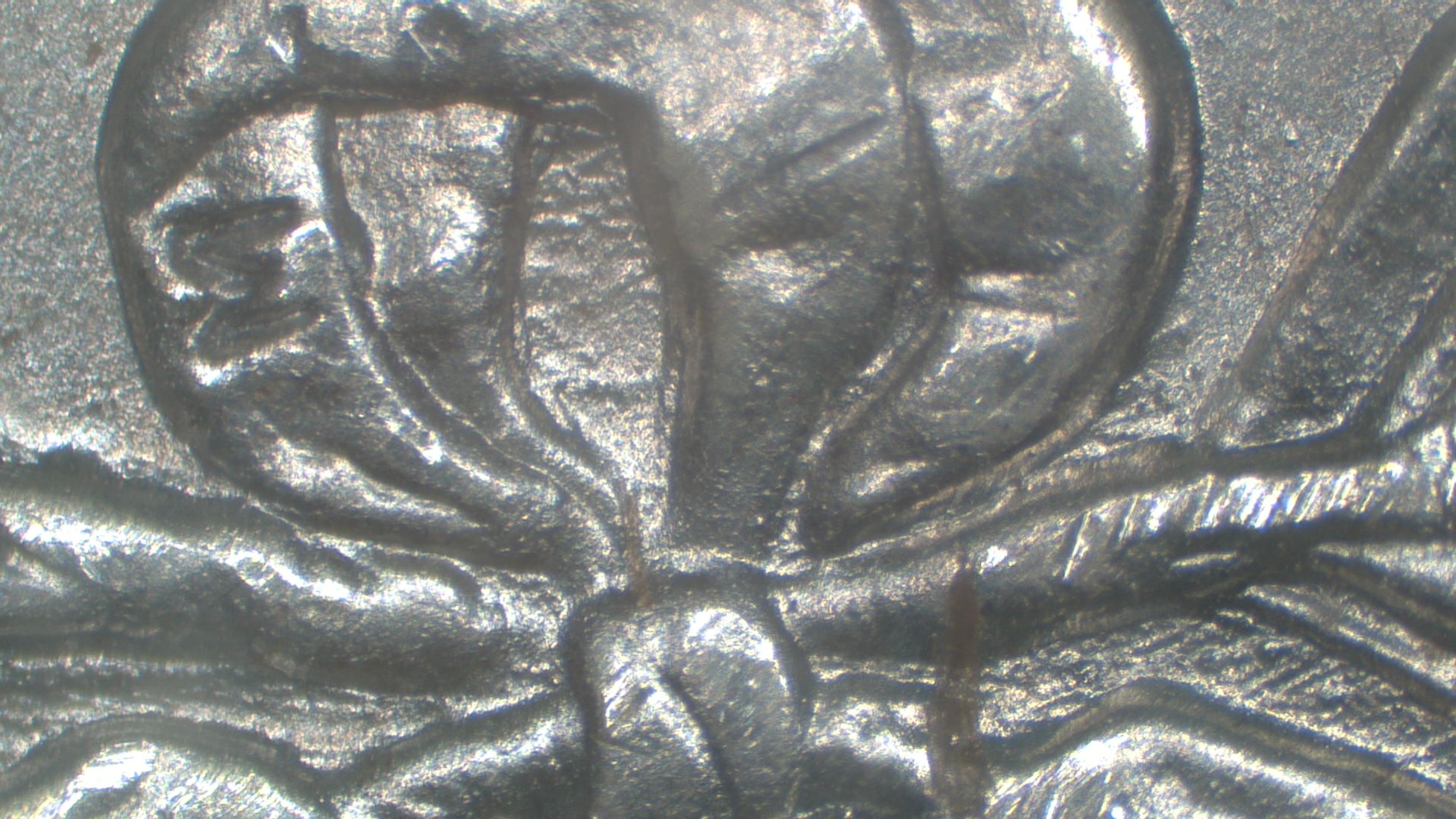 Image 15