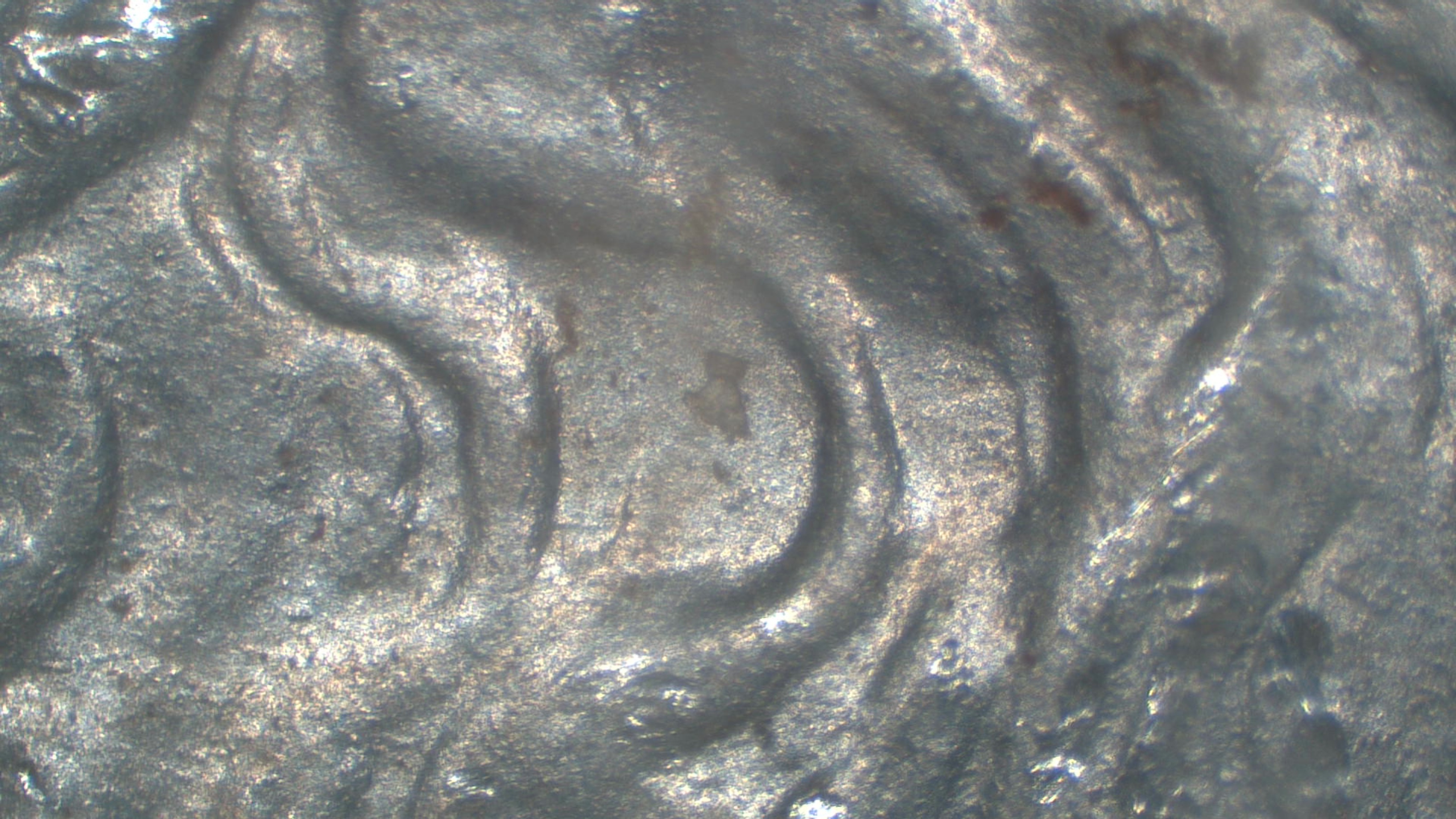 Image 13