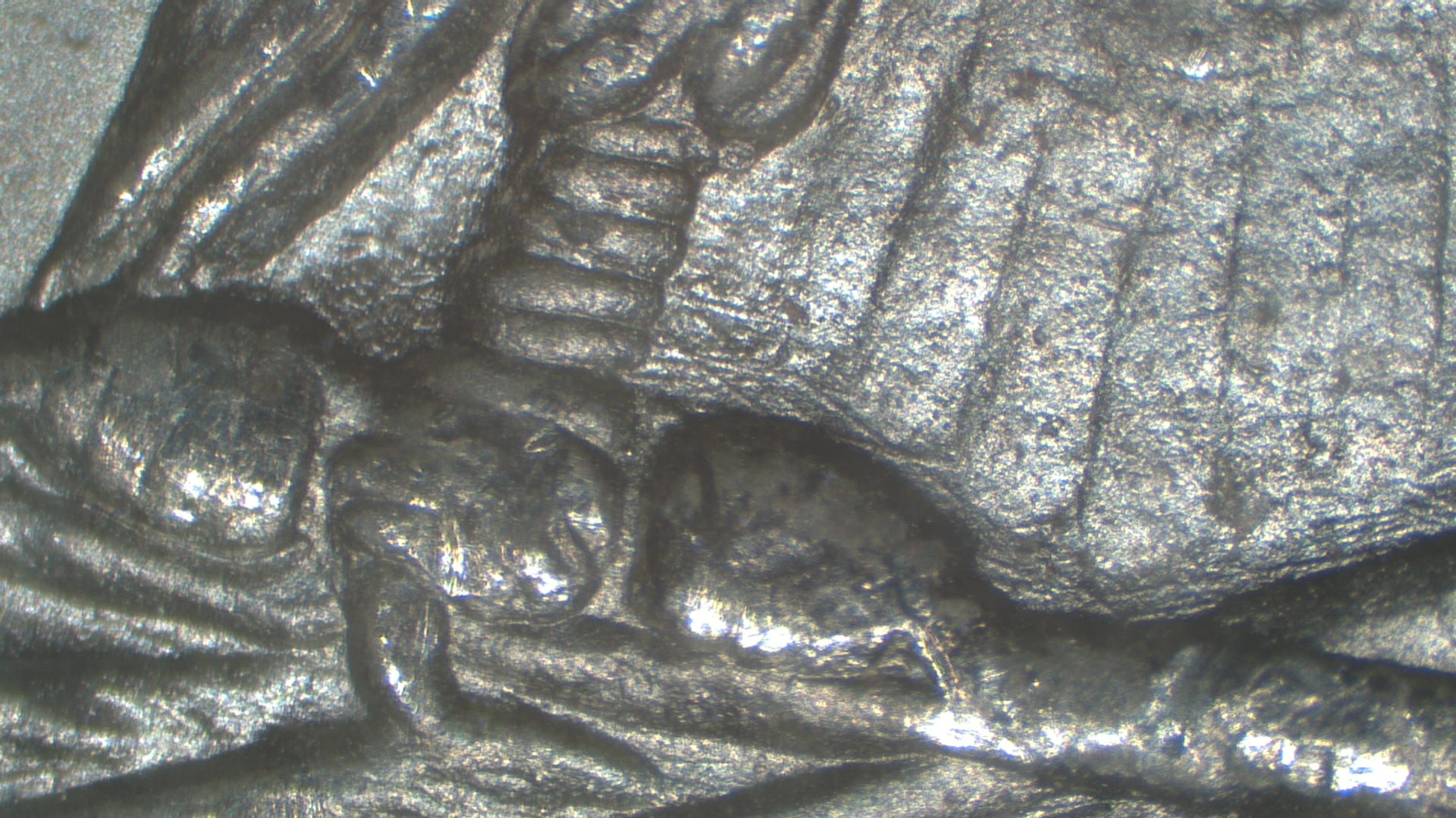 Image 16