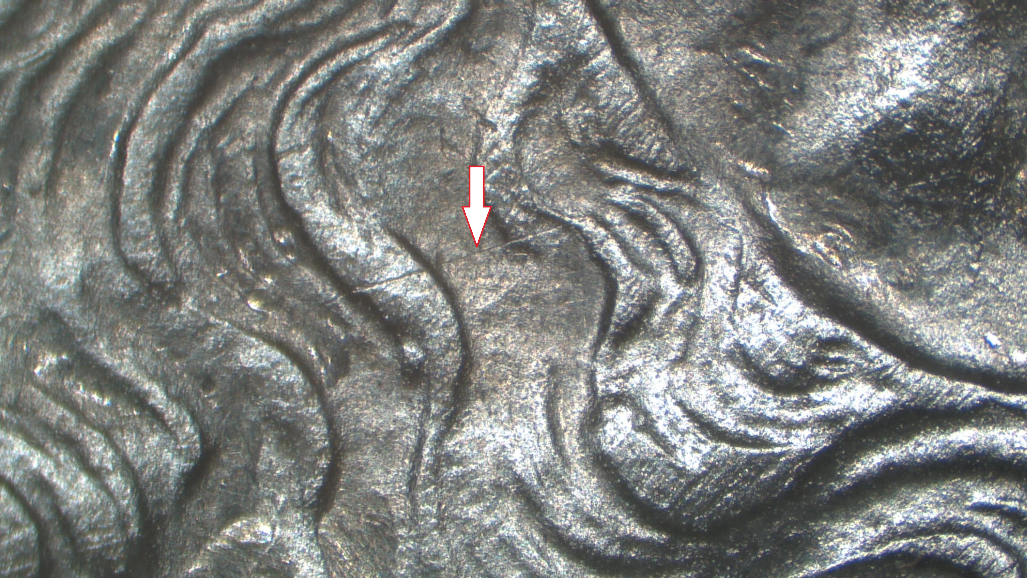 Image 17
