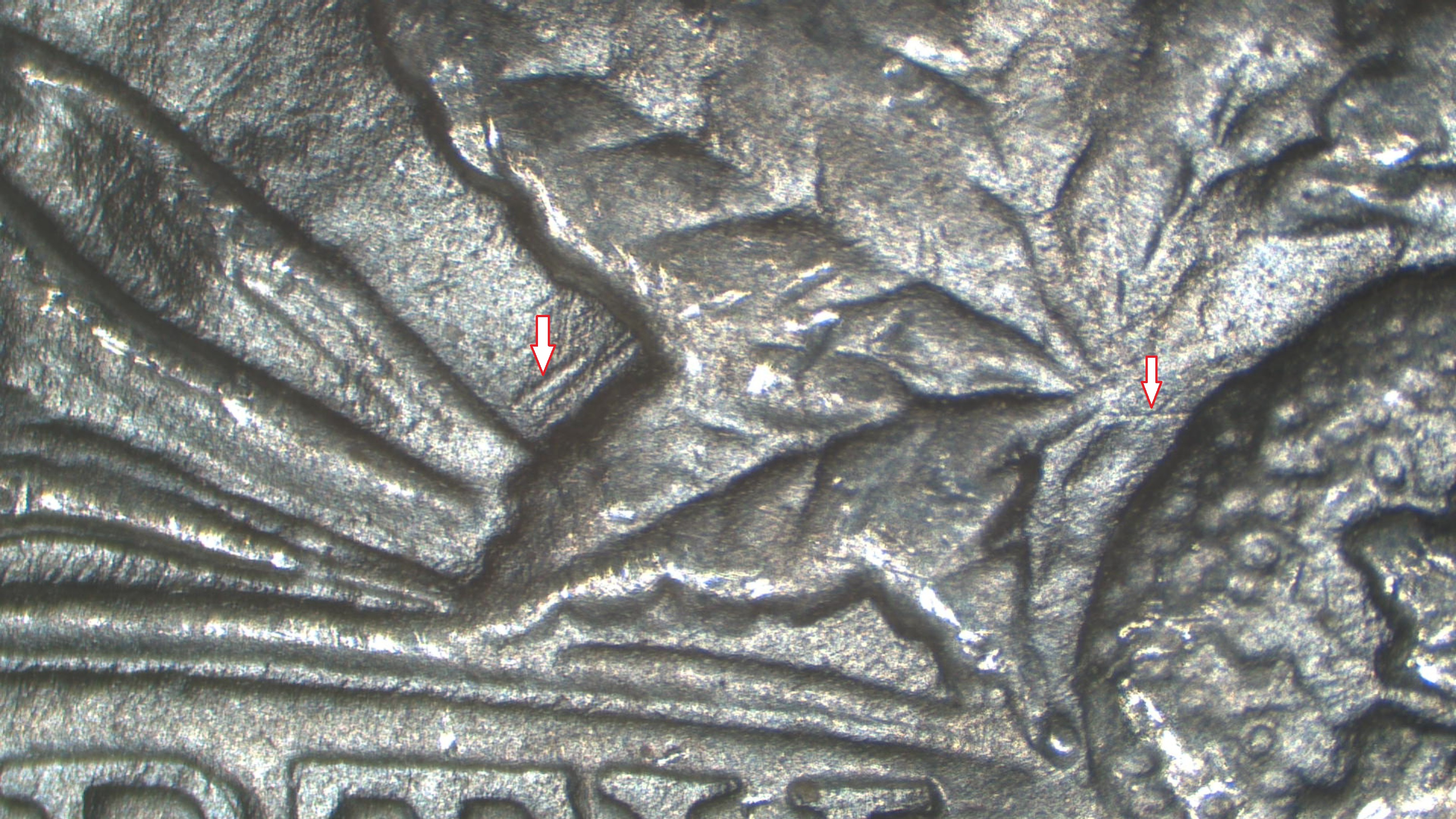 Image 20