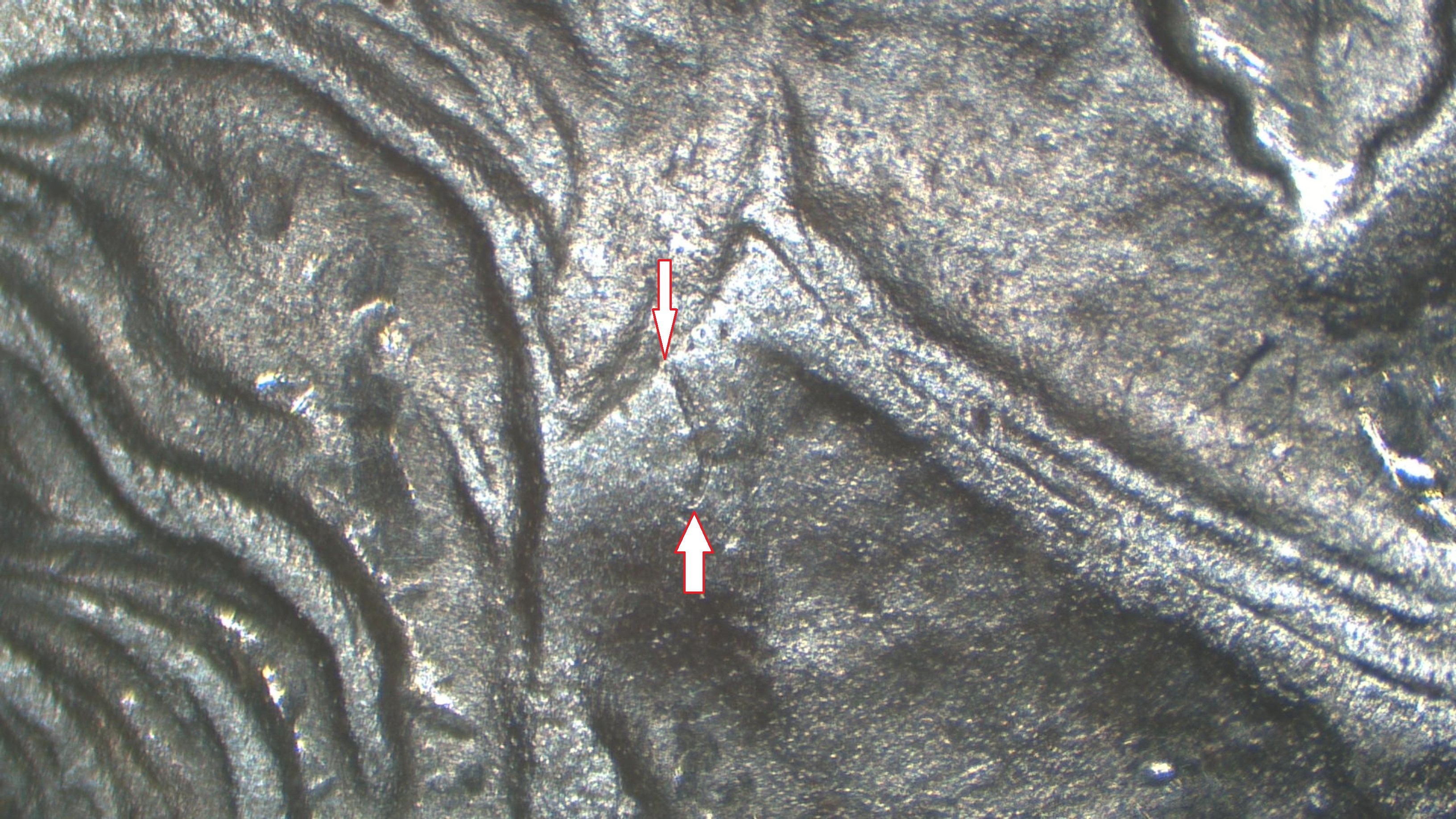 Image 22