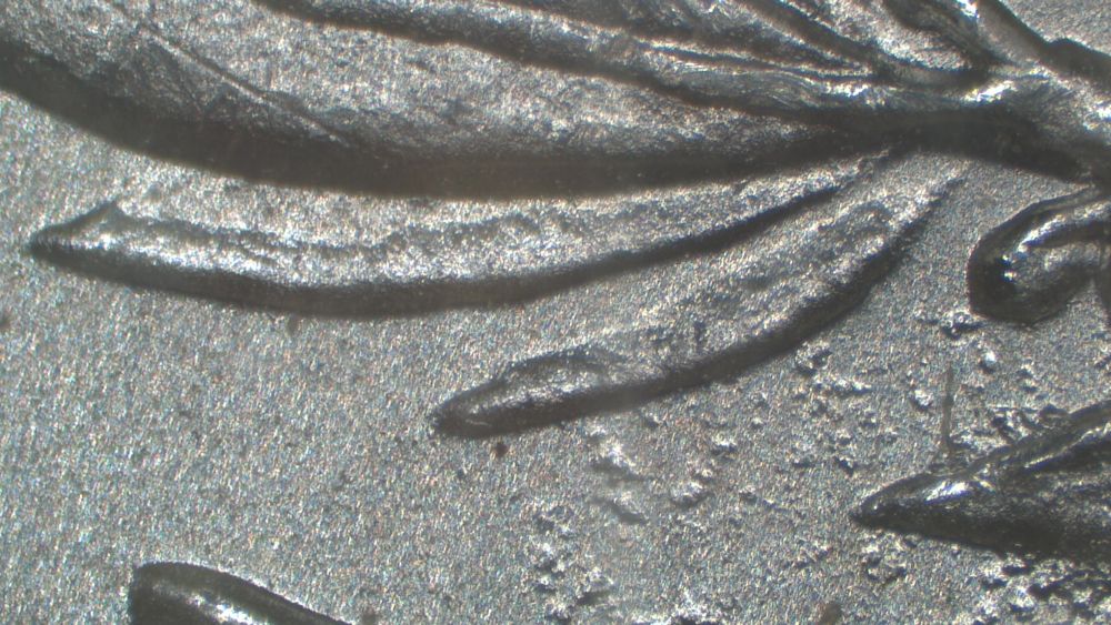 Image 20