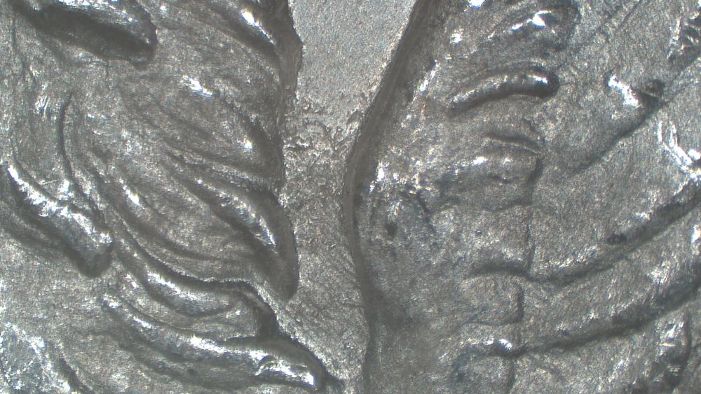 Image 15