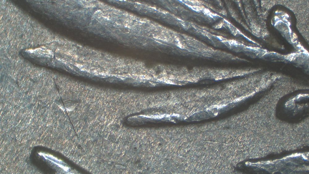 Image 16