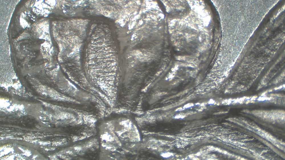 Image 14