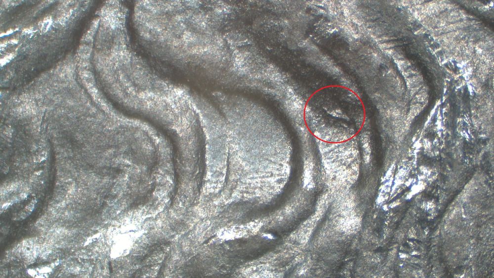 Image 15