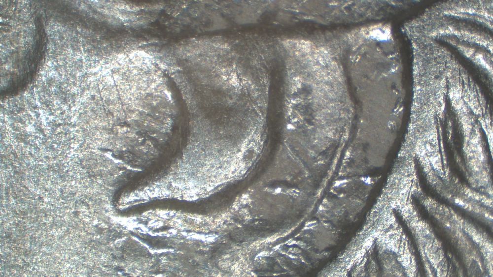 Image 13