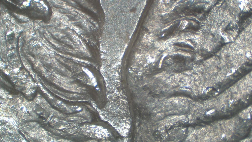 Image 23