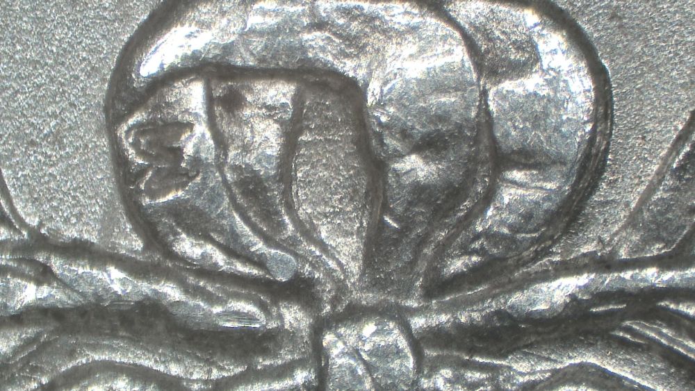 Image 15
