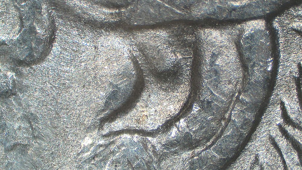 Image 14