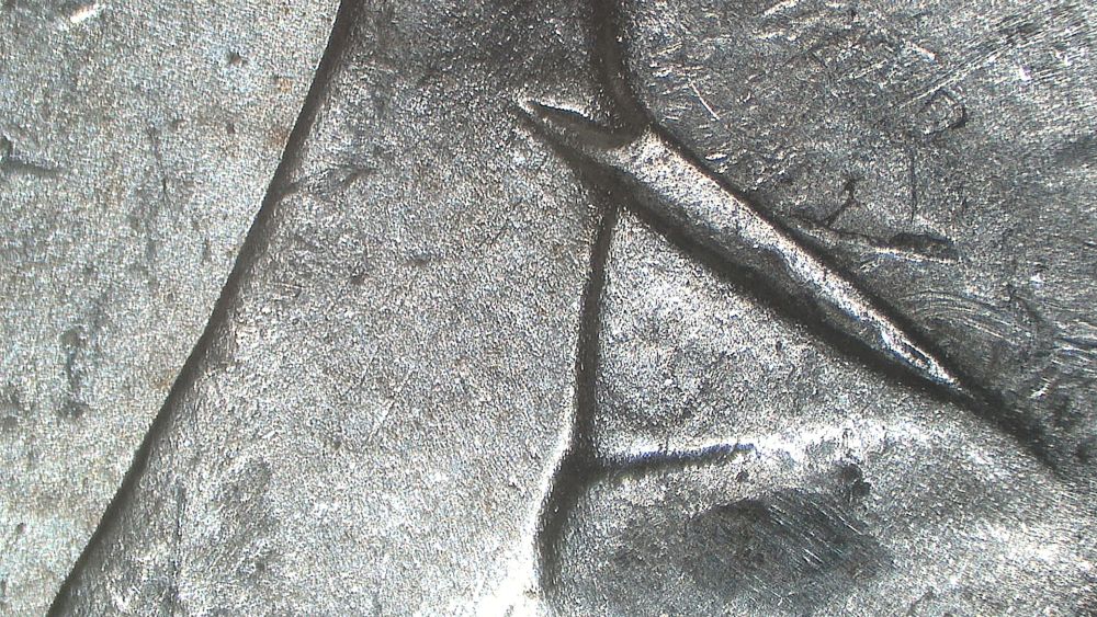 Image 19