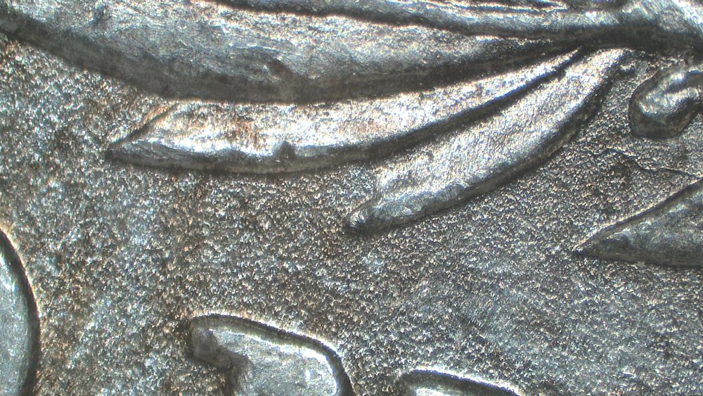 Image 17