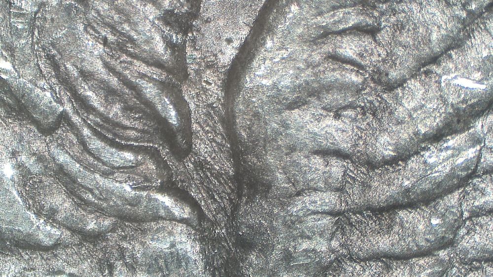 Image 15