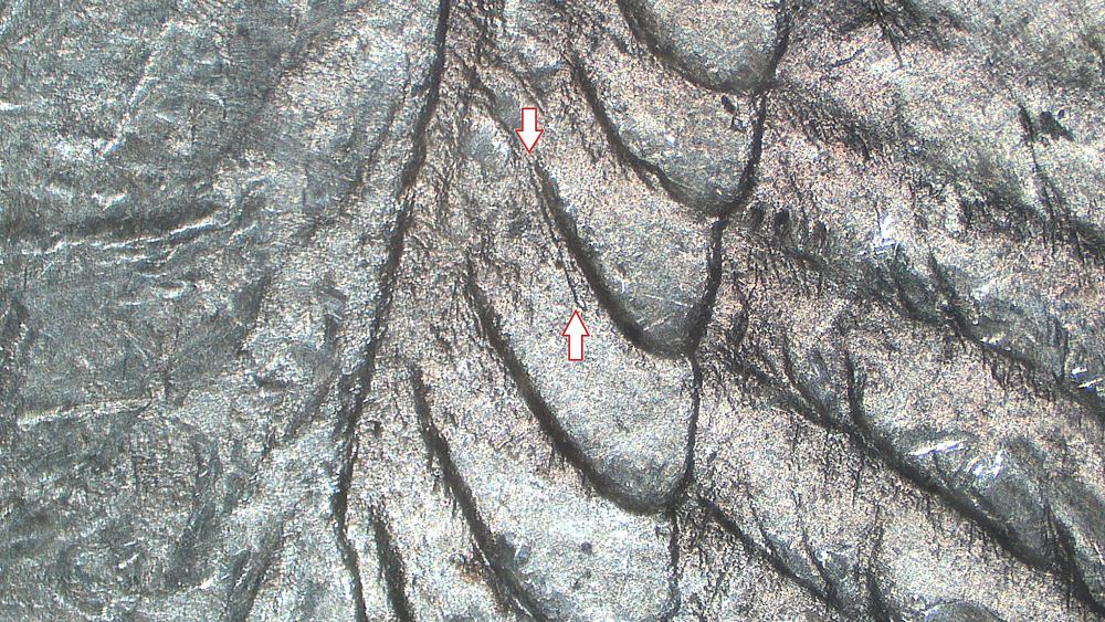 Image 14