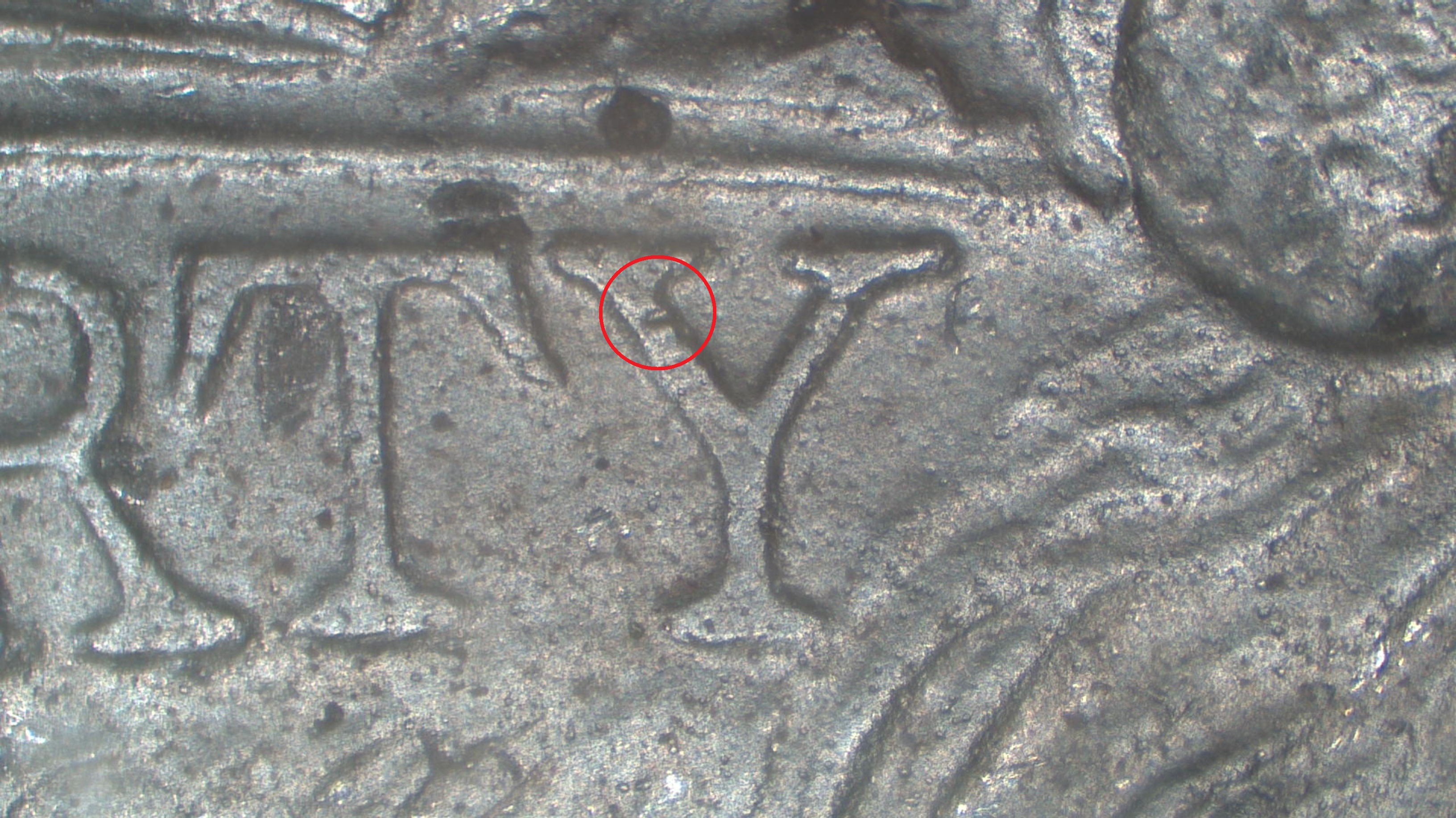 Image 10