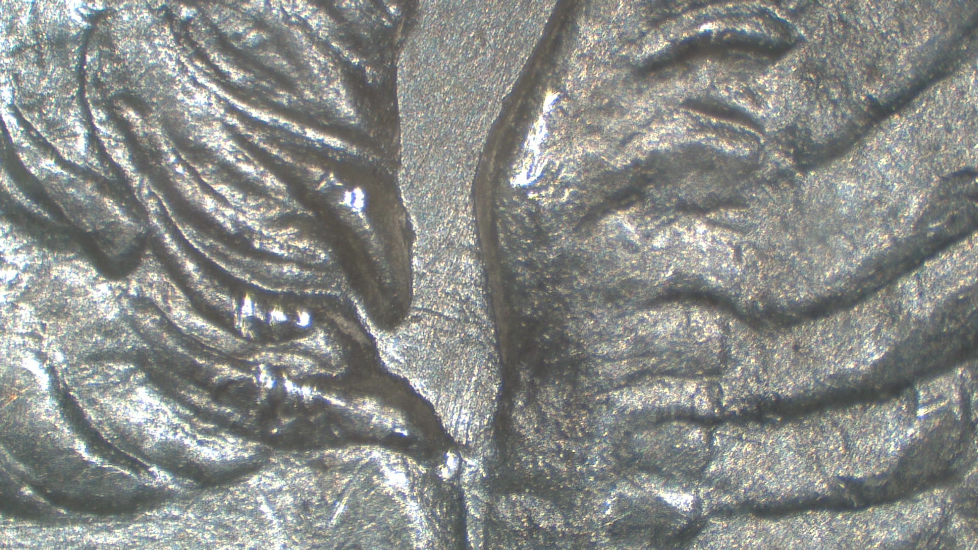 Image 13