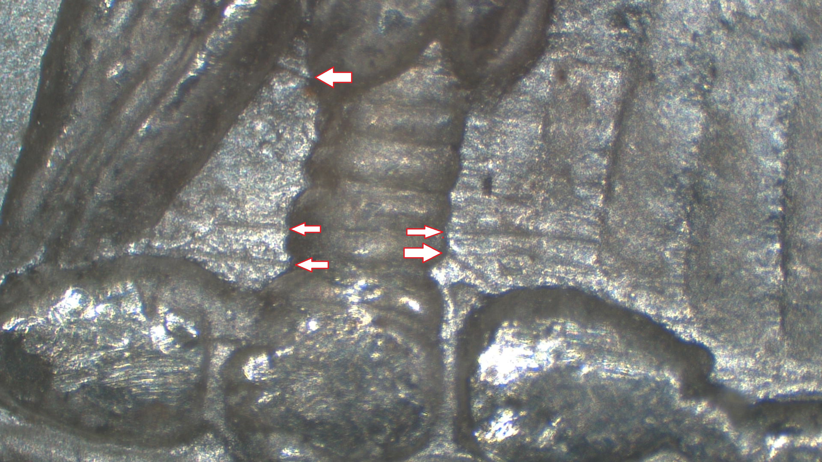 Image 13