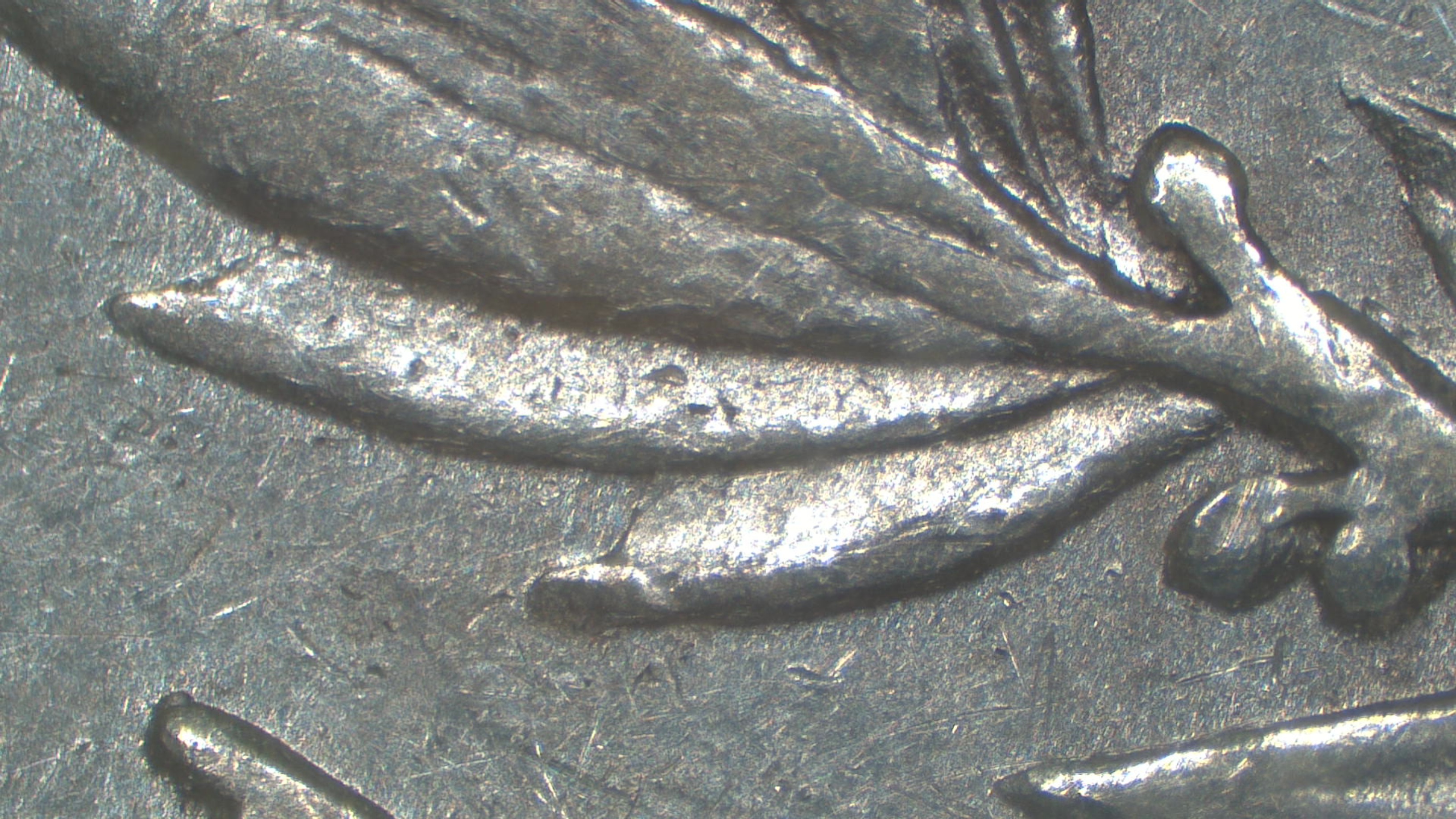 Image 13