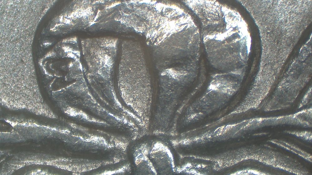Image 15