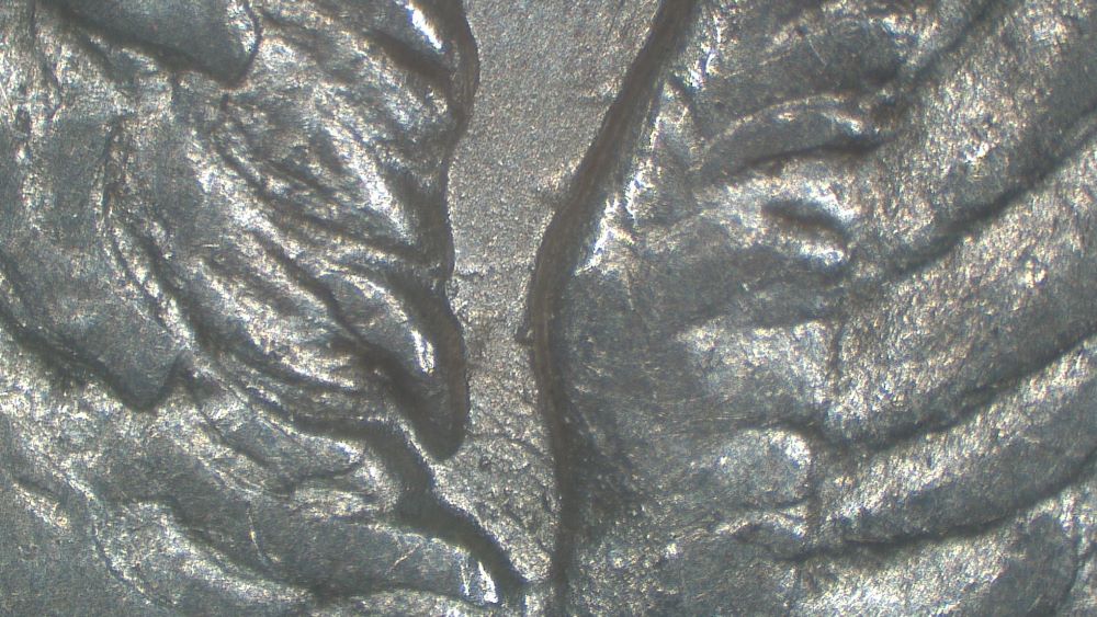 Image 13