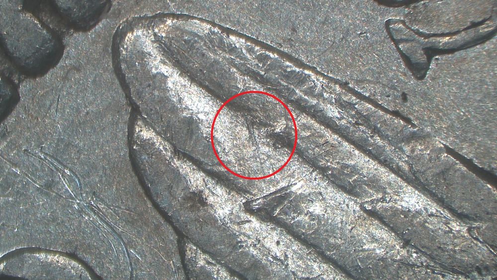 Image 23
