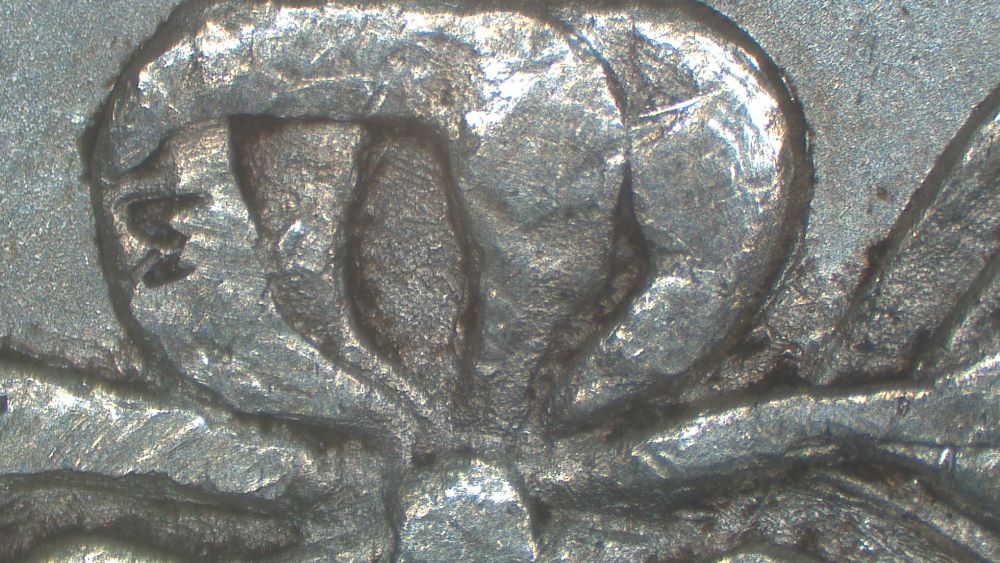 Image 20