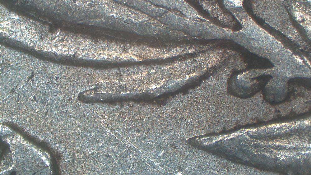 Image 21