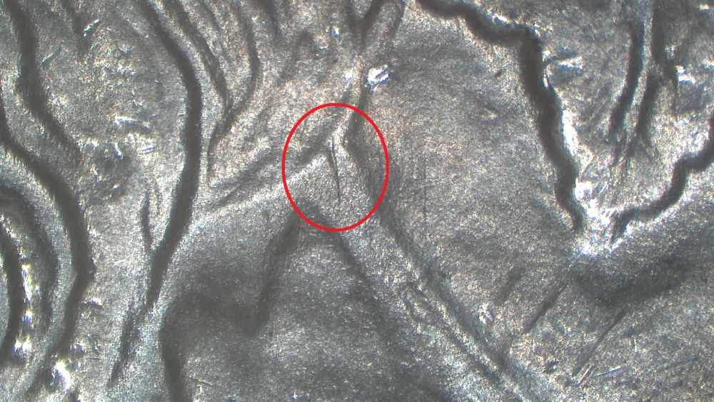 Image 15