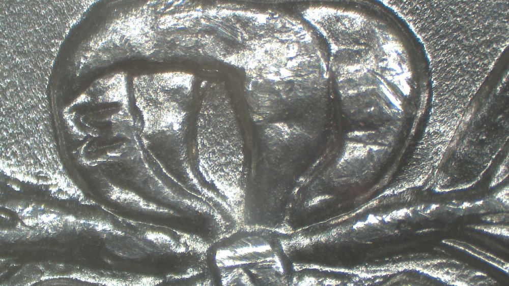 Image 14