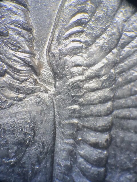 Image 31