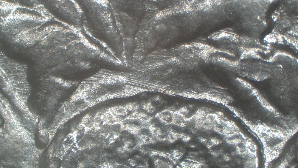 Image 22