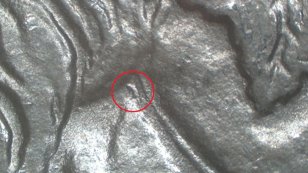 Image 8