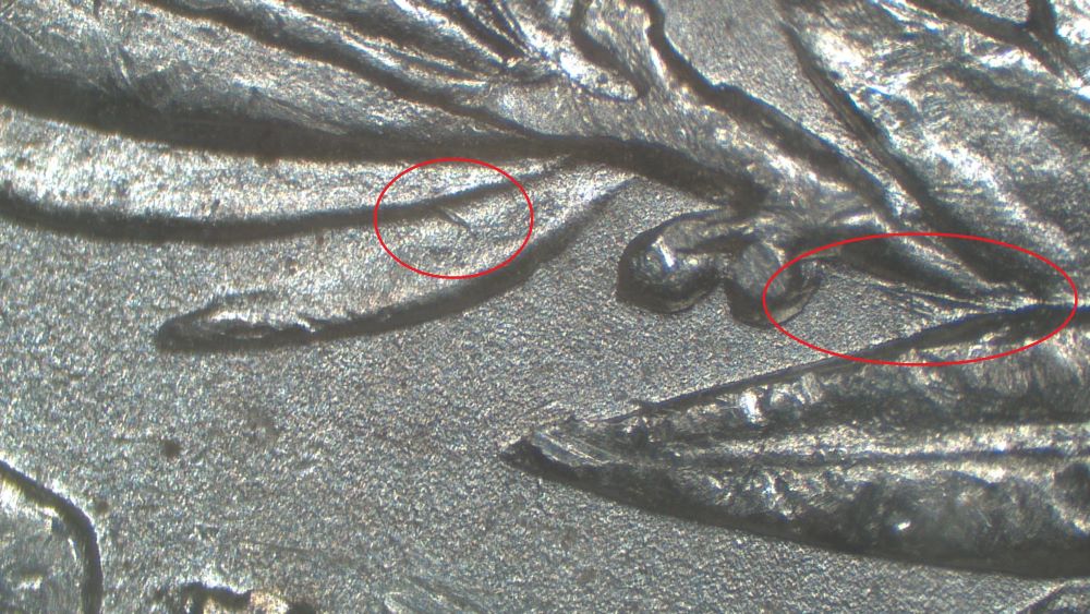 Image 14