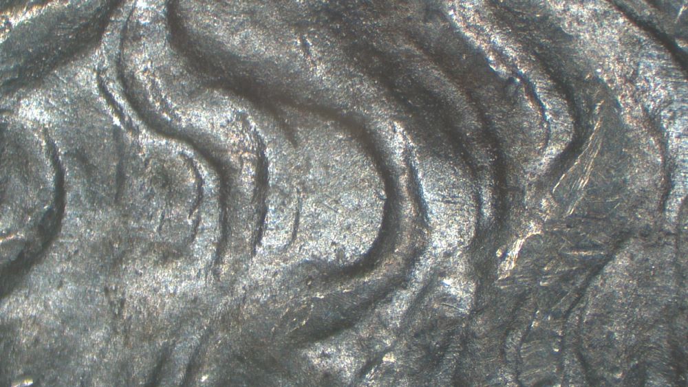 Image 15