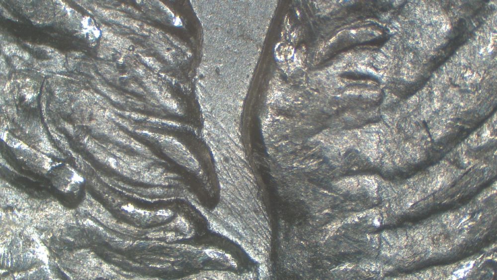Image 22