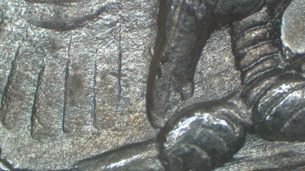 Image 16