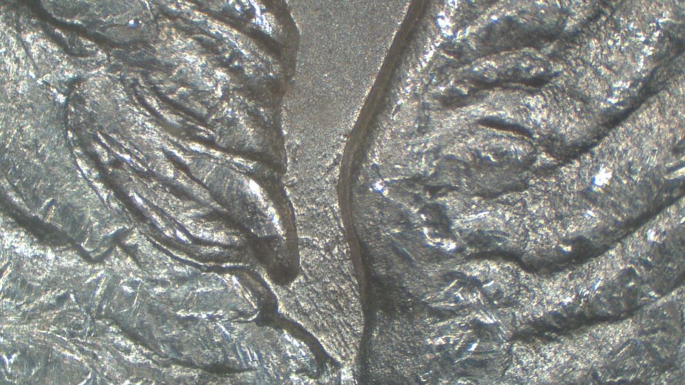 Image 20