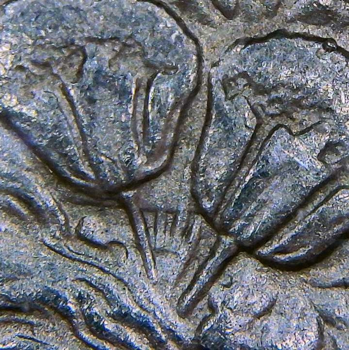 Image 16