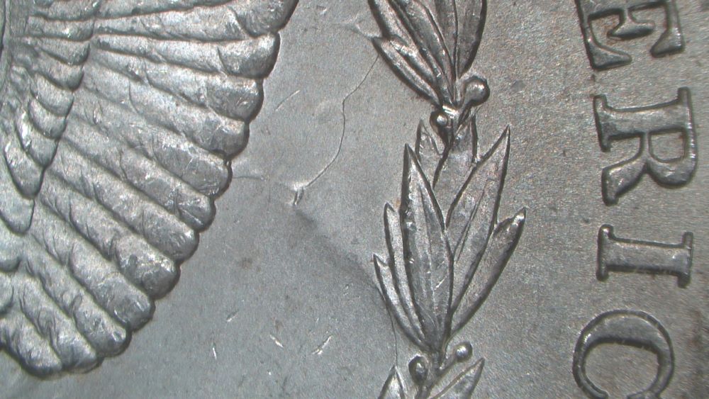 Image 23