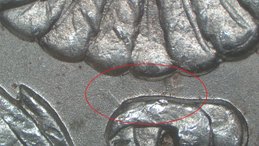 Image 15