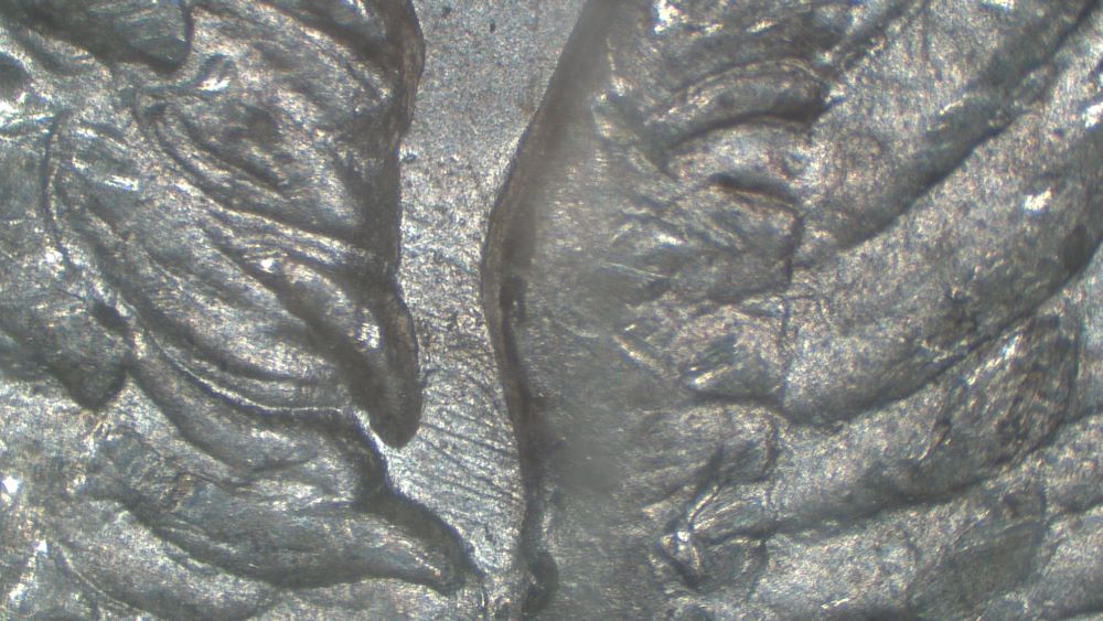 Image 26