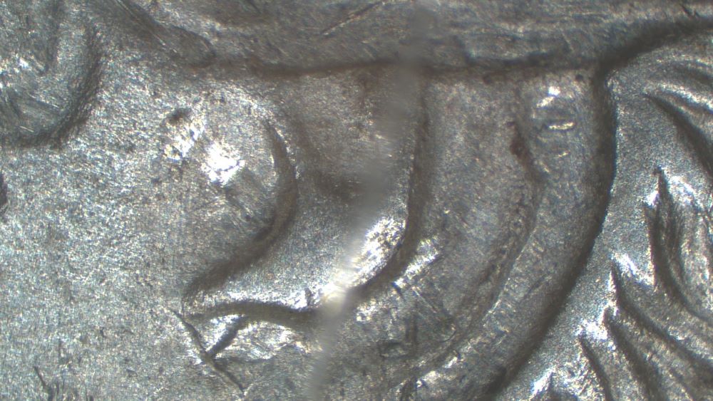 Image 13