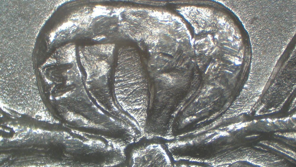 Image 15