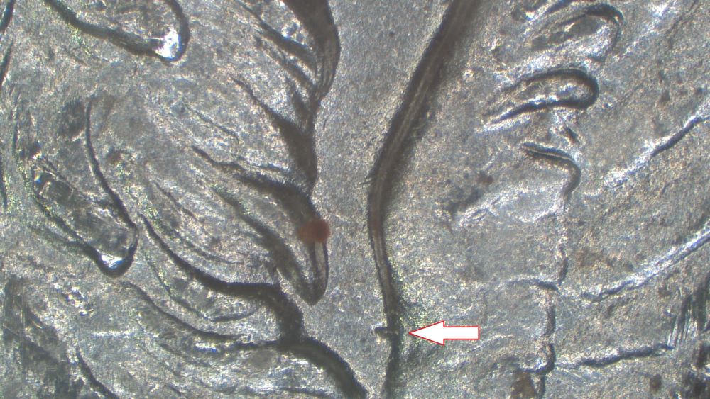 Image 13