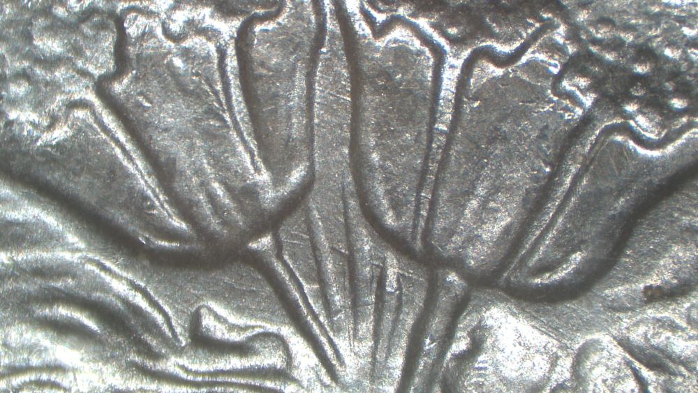 Image 33
