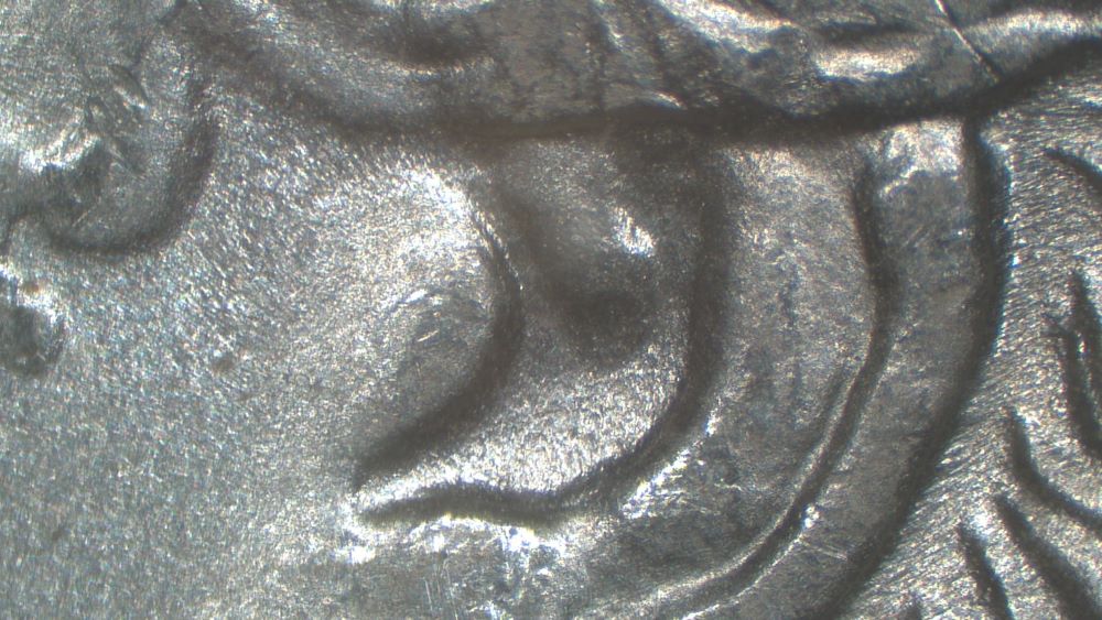 Image 15