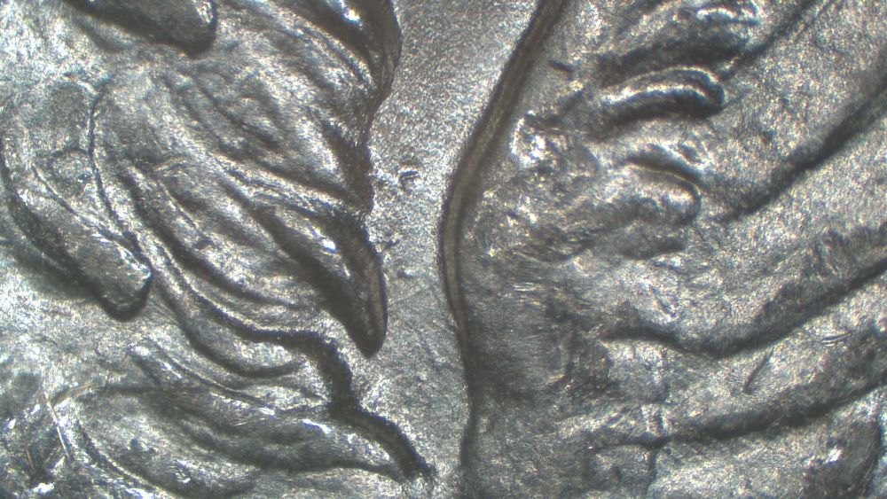 Image 24