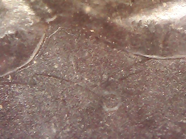 Image 29
